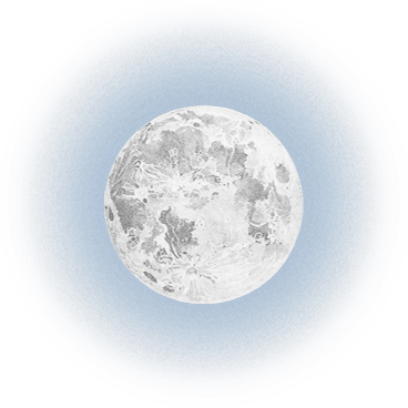 Wolf Agency. Seo a 360°